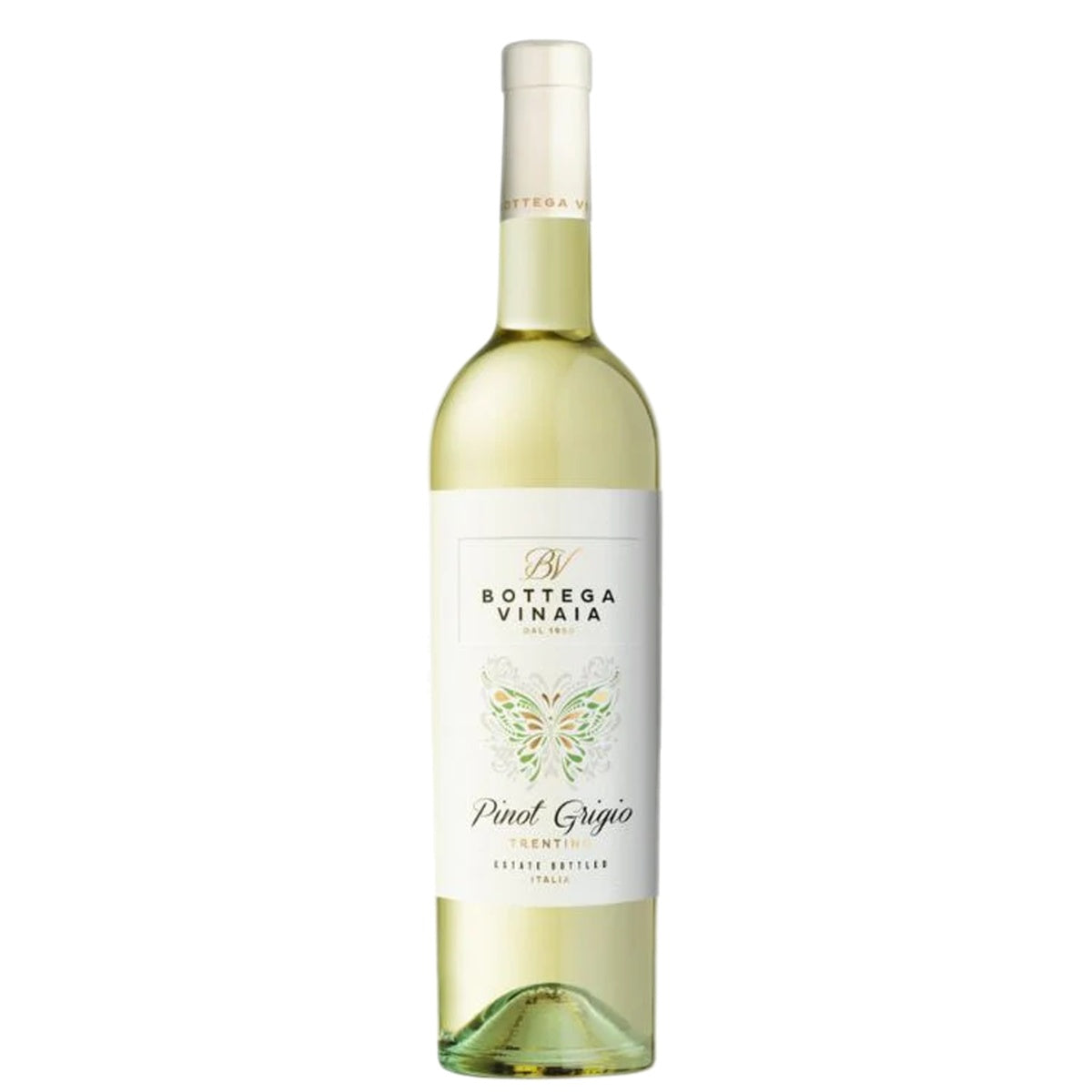 Bottega Vinaia Pinot Grigio