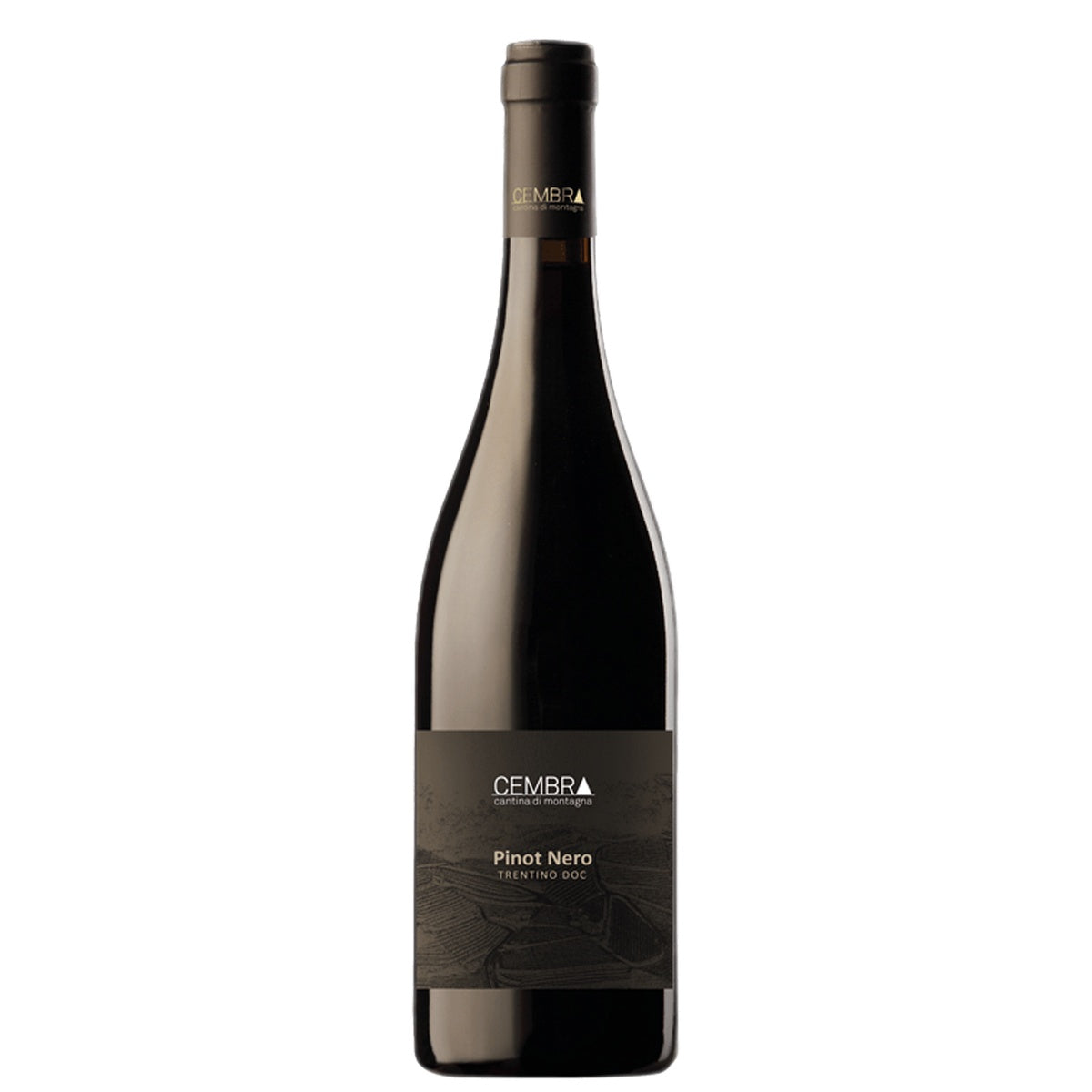 Cembra Pinot Nero Trentino