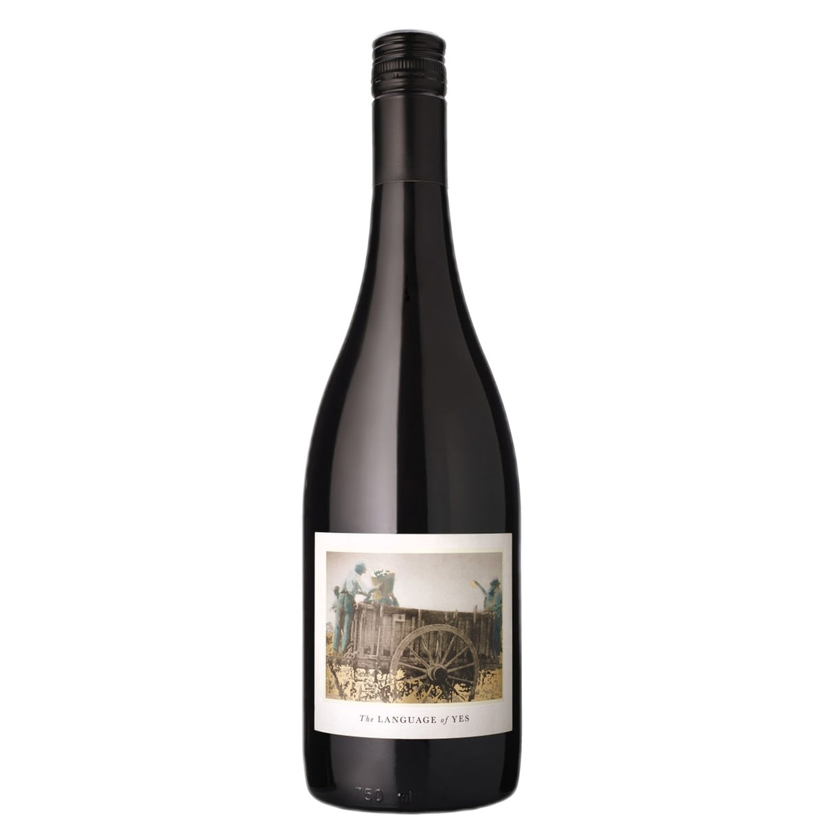 Language Of Yes Syrah Maria