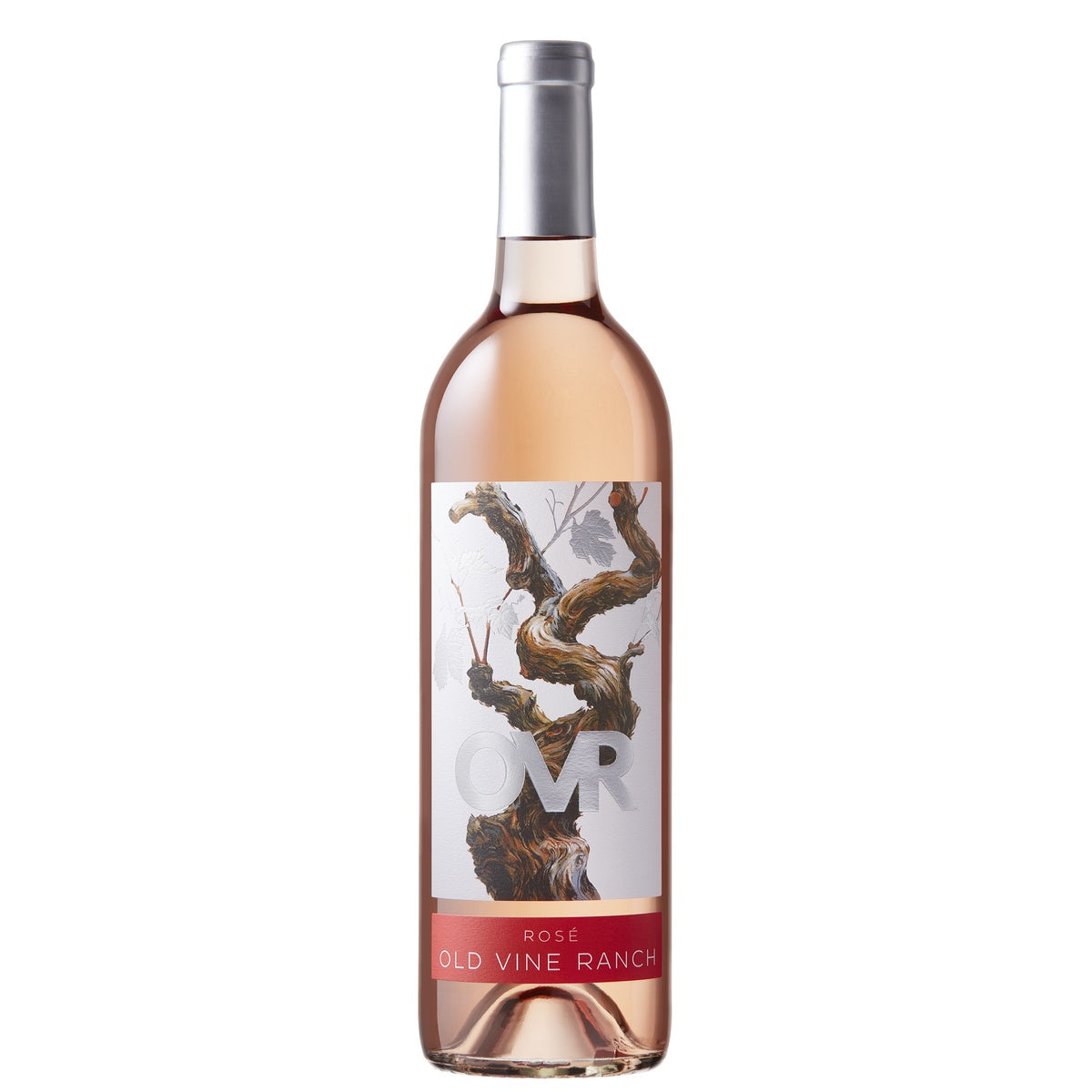 Old Vine Ranch Marietta Old Vine Rose