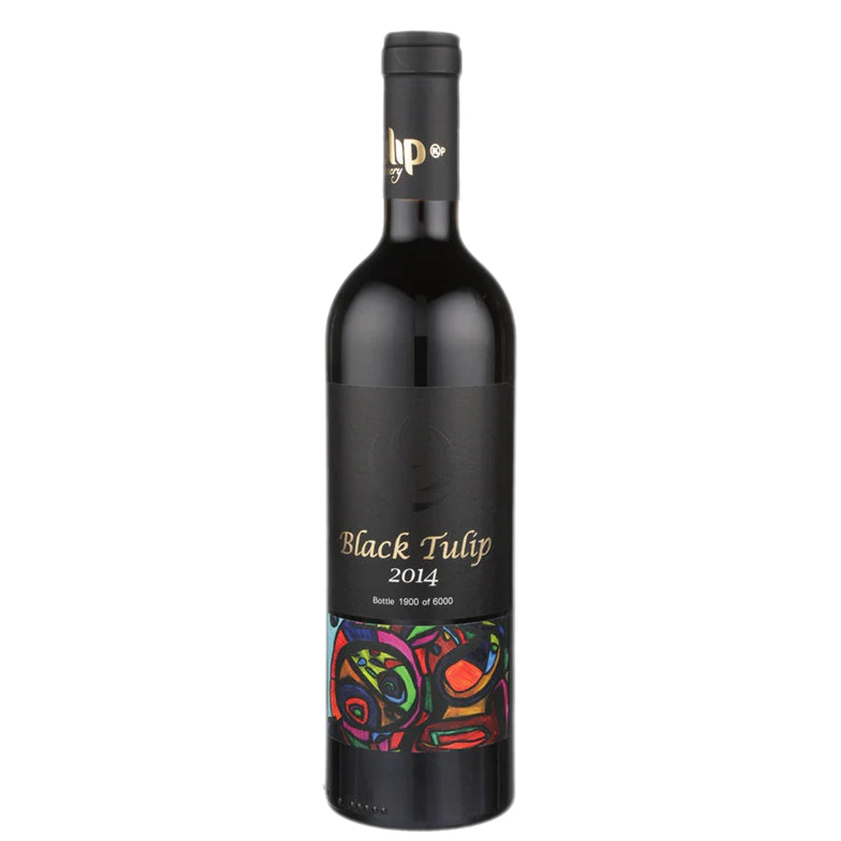 Tulip Dry Red Black Tulip Galilee